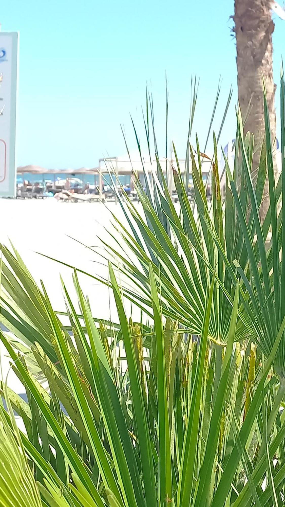 Luxury Promenada Apartment - Frontal Beachfront Mamaia Nord 那沃达利 外观 照片